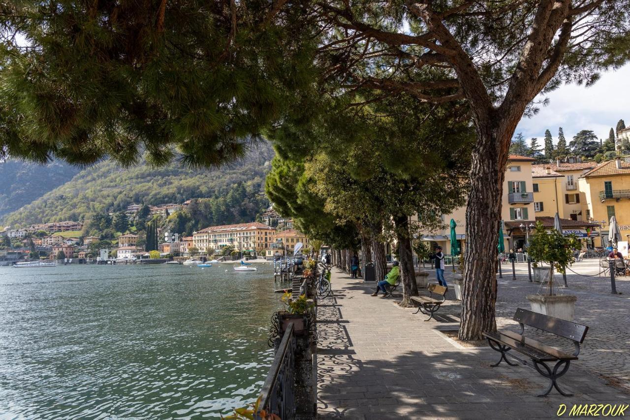 Le Petit Palais Villa Plesio Dış mekan fotoğraf
